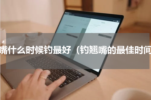 翘嘴什么时候钓最好（钓翘嘴的最佳时间）