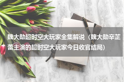 魏大勋超时空大玩家全集解说（魏大勋辛芷蕾主演的超时空大玩家今日收官结局）