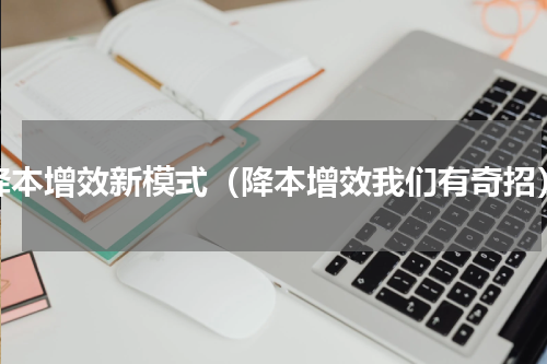 降本增效新模式（降本增效我们有奇招）