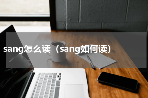 sang怎么读（sang如何读）
