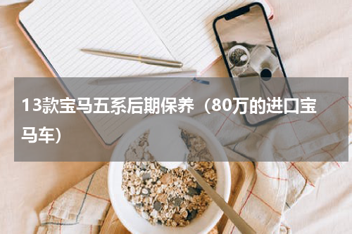13款宝马五系后期保养（80万的进口宝马车）