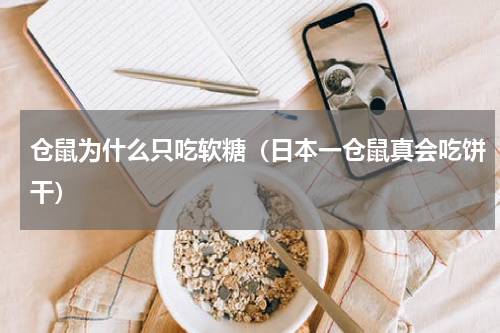 仓鼠为什么只吃软糖（日本一仓鼠真会吃饼干）