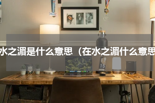 在水之湄是什么意思（在水之湄什么意思）