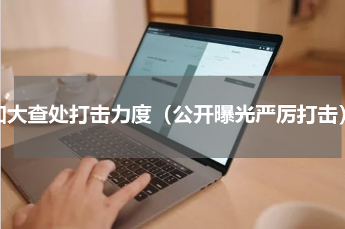 加大查处打击力度（公开曝光严厉打击）