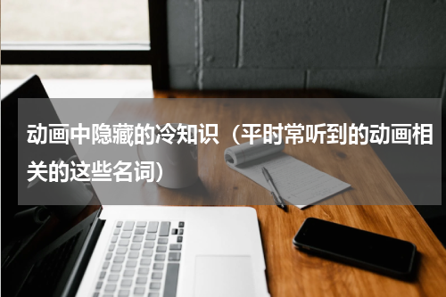 动画中隐藏的冷知识（平时常听到的动画相关的这些名词）