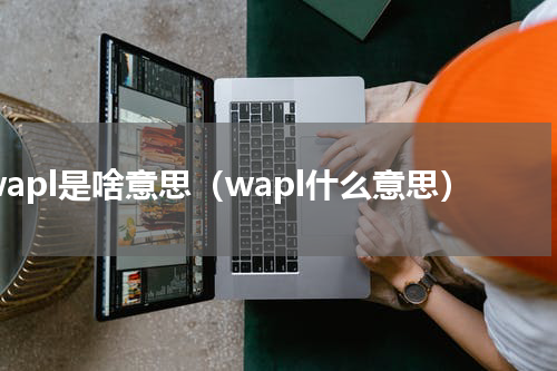 wapl是啥意思（wapl什么意思）