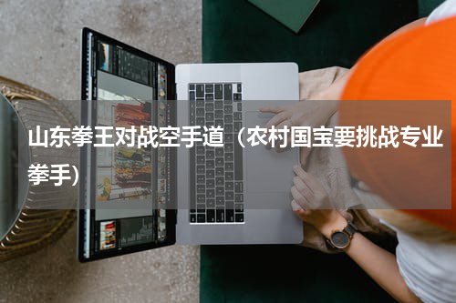 山东拳王对战空手道（农村国宝要挑战专业拳手）