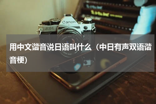 用中文谐音说日语叫什么（中日有声双语谐音梗）