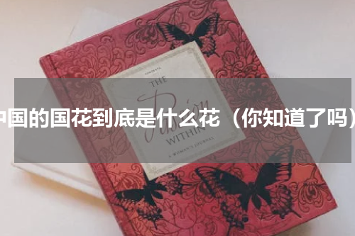 中国的国花到底是什么花（你知道了吗）
