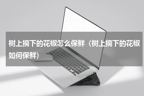 树上摘下的花椒怎么保鲜（树上摘下的花椒如何保鲜）