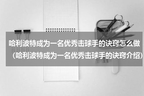 哈利波特成为一名优秀击球手的诀窍怎么做（哈利波特成为一名优秀击球手的诀窍介绍）