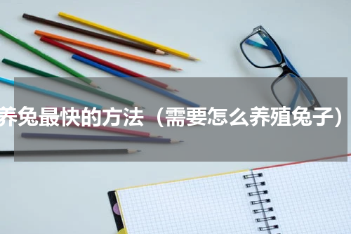 养兔最快的方法（需要怎么养殖兔子）