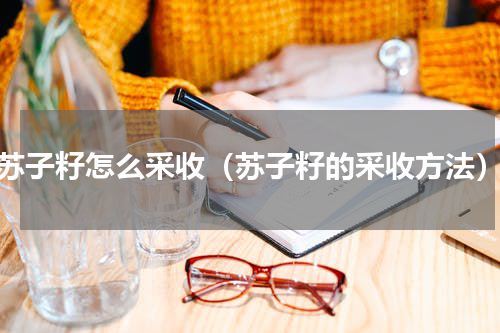 苏子籽怎么采收（苏子籽的采收方法）