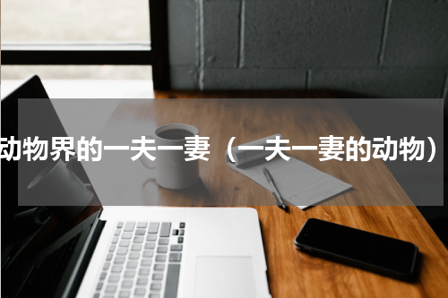 动物界的一夫一妻（一夫一妻的动物）