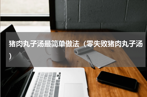 猪肉丸子汤最简单做法（零失败猪肉丸子汤）