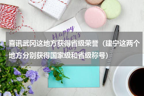 喜讯武冈这地方获得省级荣誉（建宁这两个地方分别获得国家级和省级称号）