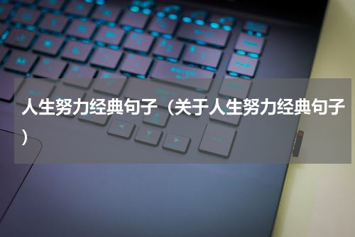 人生努力经典句子（关于人生努力经典句子）
