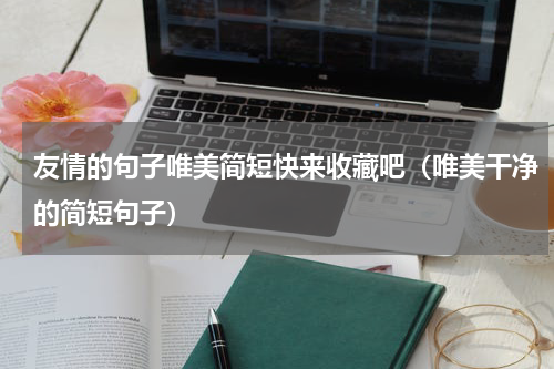 友情的句子唯美简短快来收藏吧（唯美干净的简短句子）