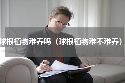 球根植物难养吗（球根植物难不难养）