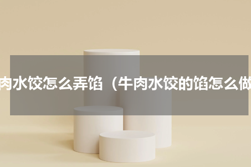 牛肉水饺怎么弄馅（牛肉水饺的馅怎么做）