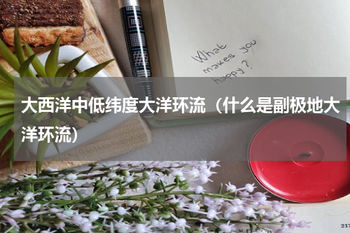 大西洋中低纬度大洋环流（什么是副极地大洋环流）