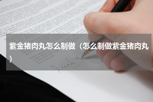 紫金猪肉丸怎么制做（怎么制做紫金猪肉丸）