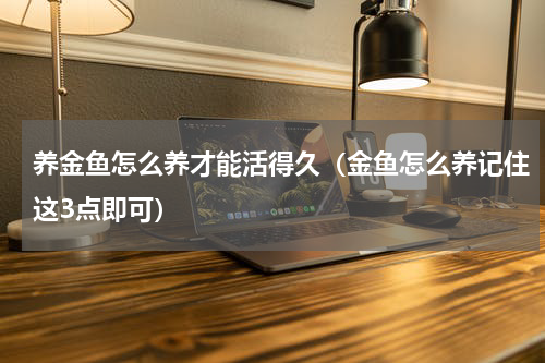 养金鱼怎么养才能活得久（金鱼怎么养记住这3点即可）
