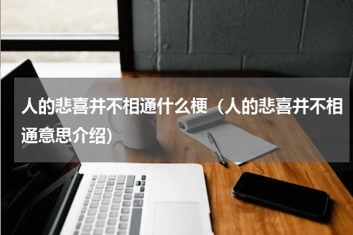 人的悲喜并不相通什么梗（人的悲喜并不相通意思介绍）