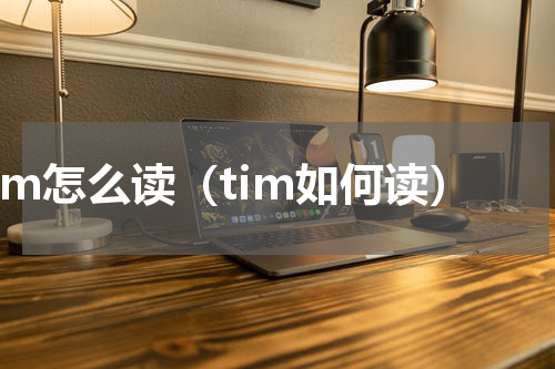 tim怎么读（tim如何读）