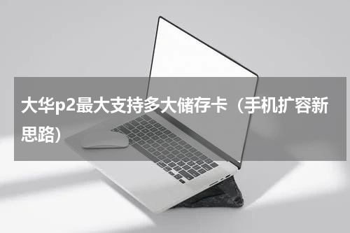 大华p2最大支持多大储存卡（手机扩容新思路）