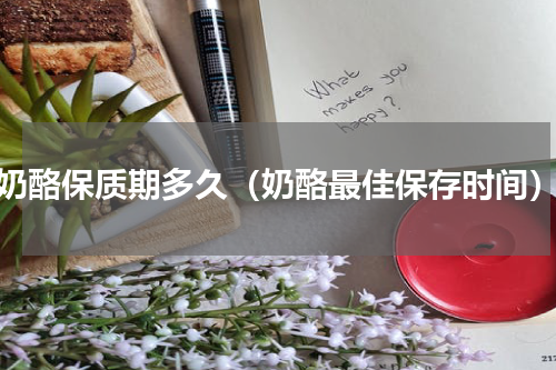 奶酪保质期多久（奶酪最佳保存时间）