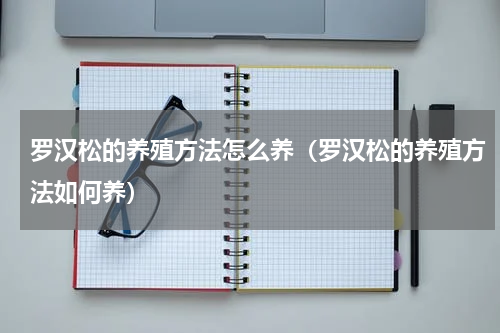 罗汉松的养殖方法怎么养（罗汉松的养殖方法如何养）