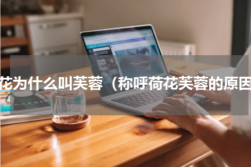 荷花为什么叫芙蓉（称呼荷花芙蓉的原因）