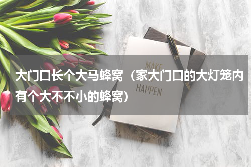 大门口长个大马蜂窝（家大门口的大灯笼内有个大不不小的蜂窝）